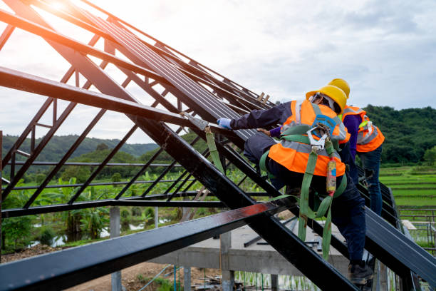 Best Local Roofing Companies  in Williamston, MI