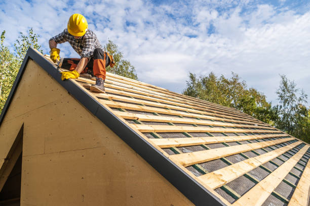 Best Roof Repair Services  in Williamston, MI