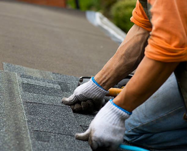Best Sealant for Roof  in Williamston, MI
