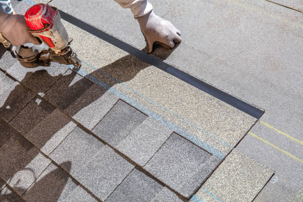 Best Roof Restoration Services  in Williamston, MI