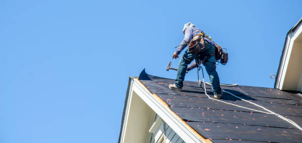Best Emergency Roof Repair  in Williamston, MI